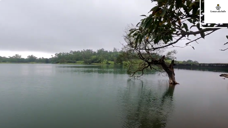Tungarli dam in Lonavala 